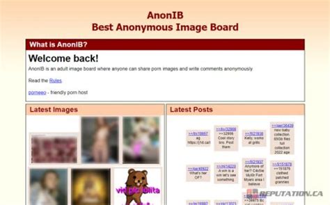 anon social nudes|Anon Image Board